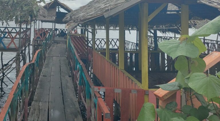 IMG 20251228 135451 768x425