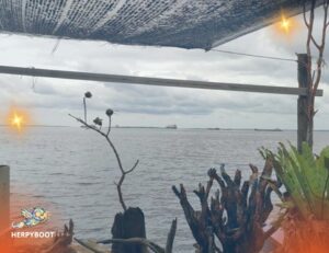 Screenshot 2025 12 28 15 14 01 01 c0d35d5c8ea536686f7fb1c9f2f8f274 300x231