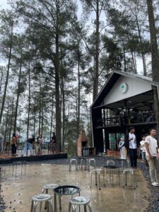 IMG 20260304 WA0006 225x300