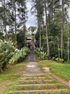 IMG 20260304 WA0007 225x300