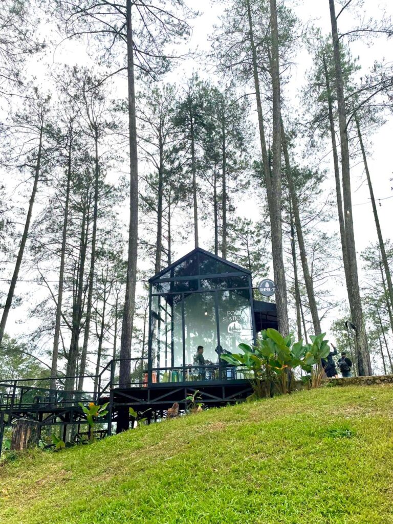 IMG 20260304 WA0008 768x1024