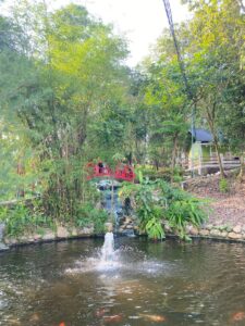 Kasang Kulim Zoo 8 IMG 20260327 WA0003 225x300