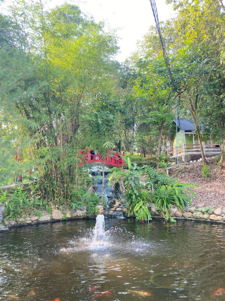 Kasang Kulim Zoo 5 IMG 20260327 WA0003 768x1024